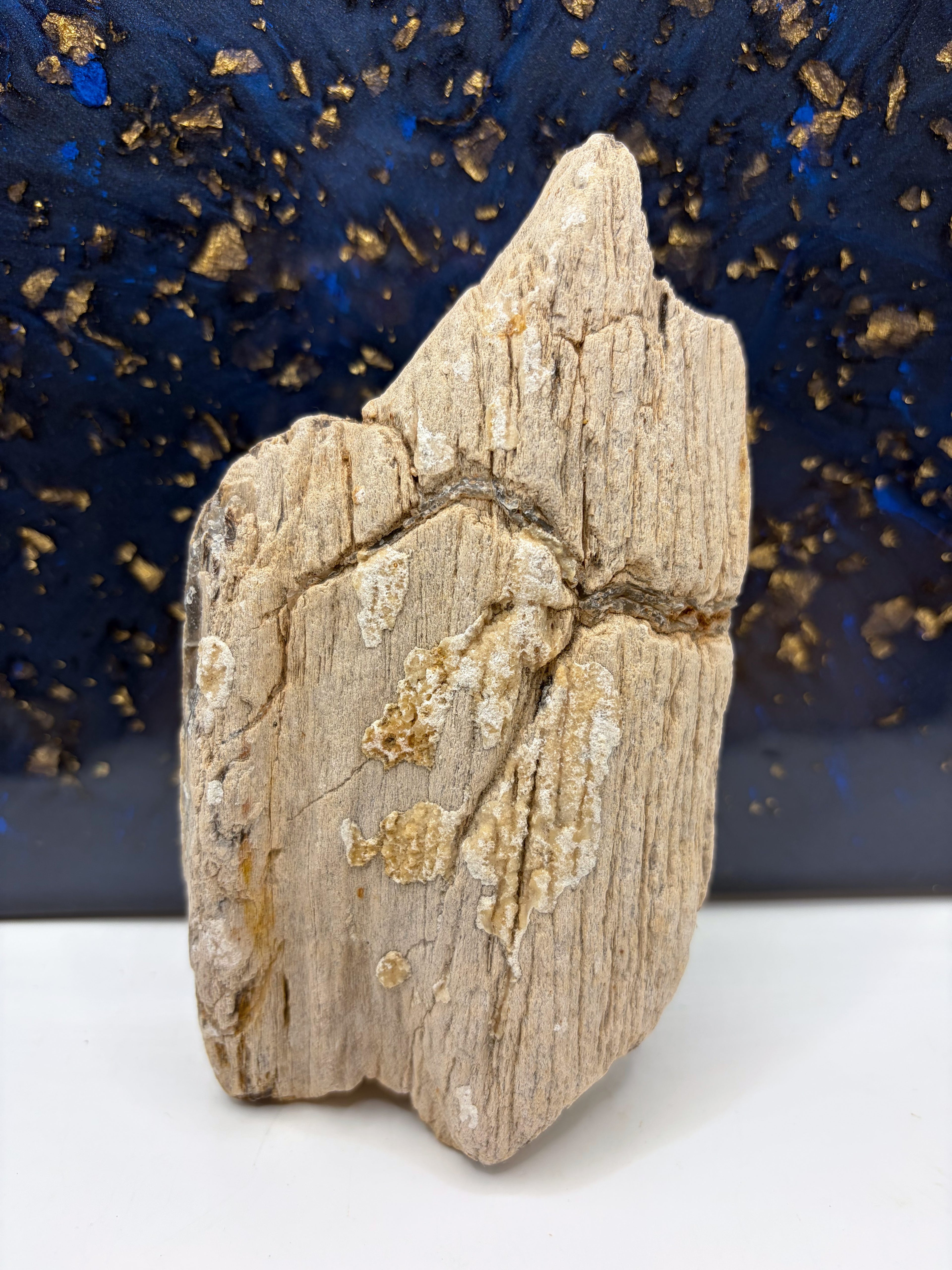Crystalized Petrified Wood Specimen