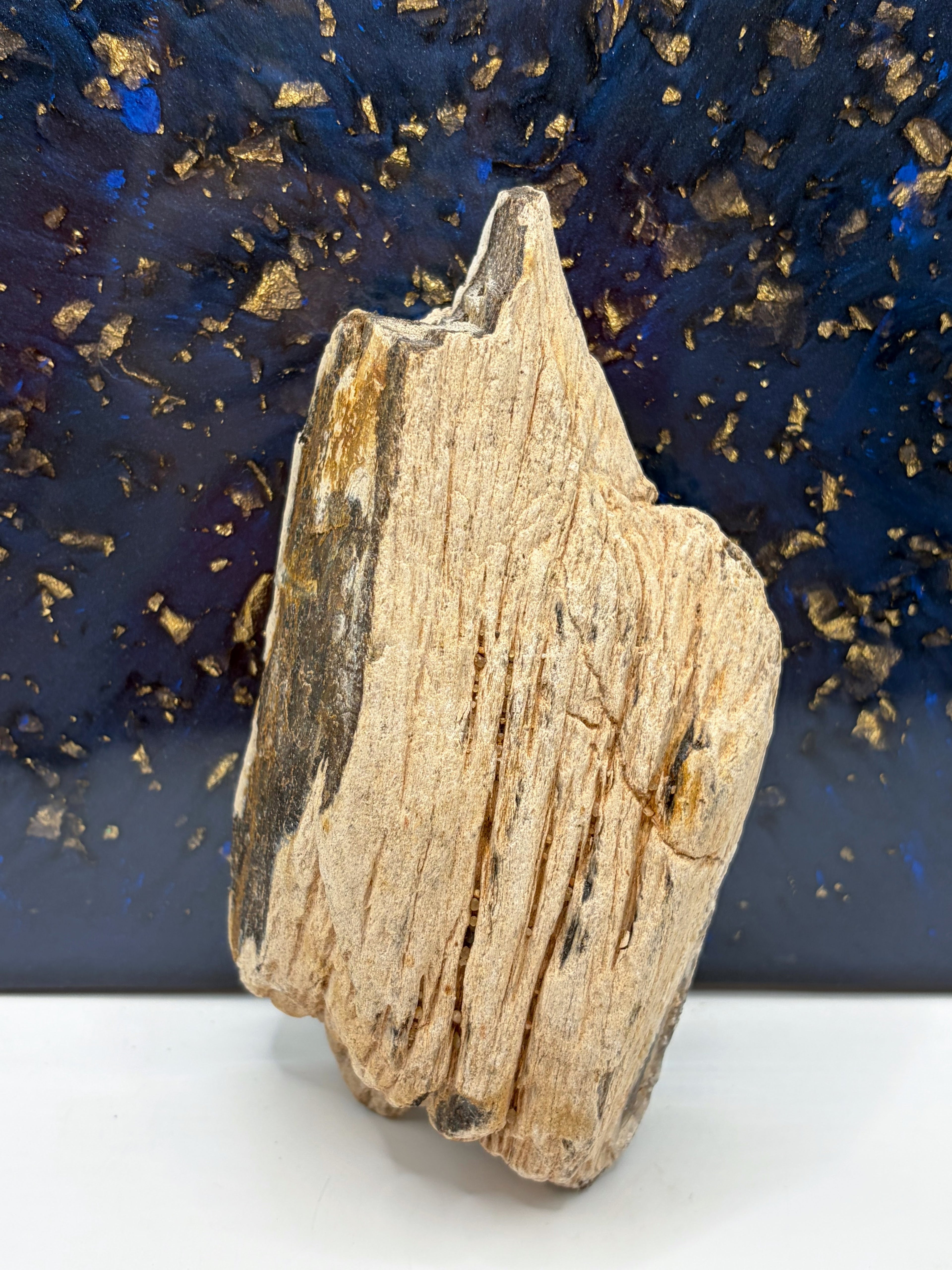 Crystalized Petrified Wood Specimen