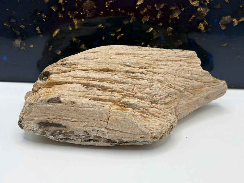 Crystalized Petrified Wood Specimen