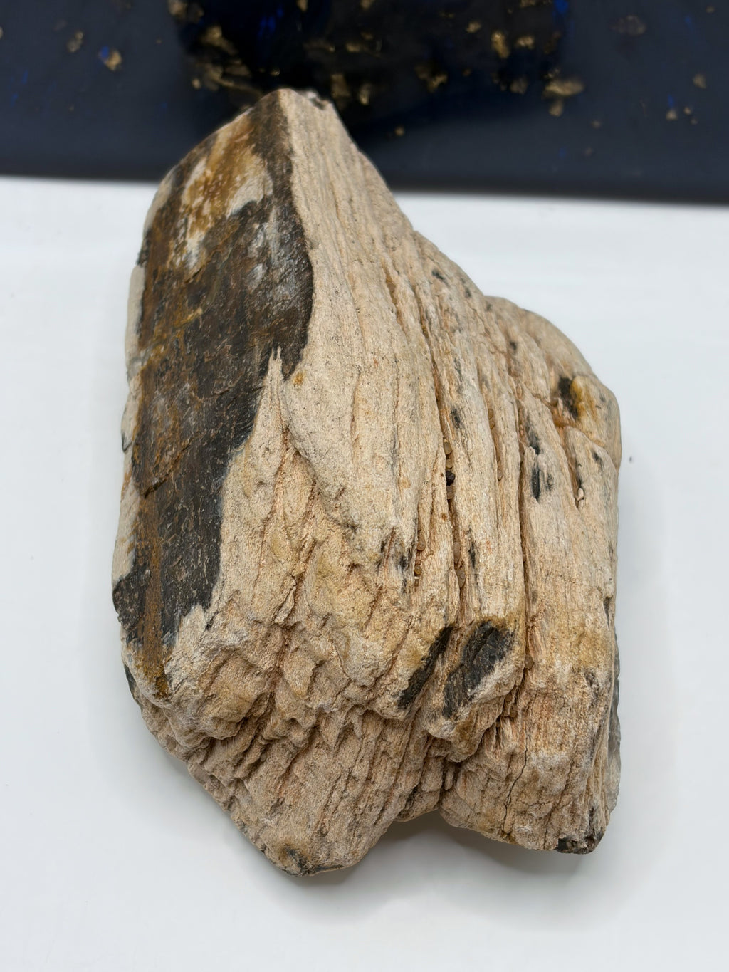 Crystalized Petrified Wood Specimen