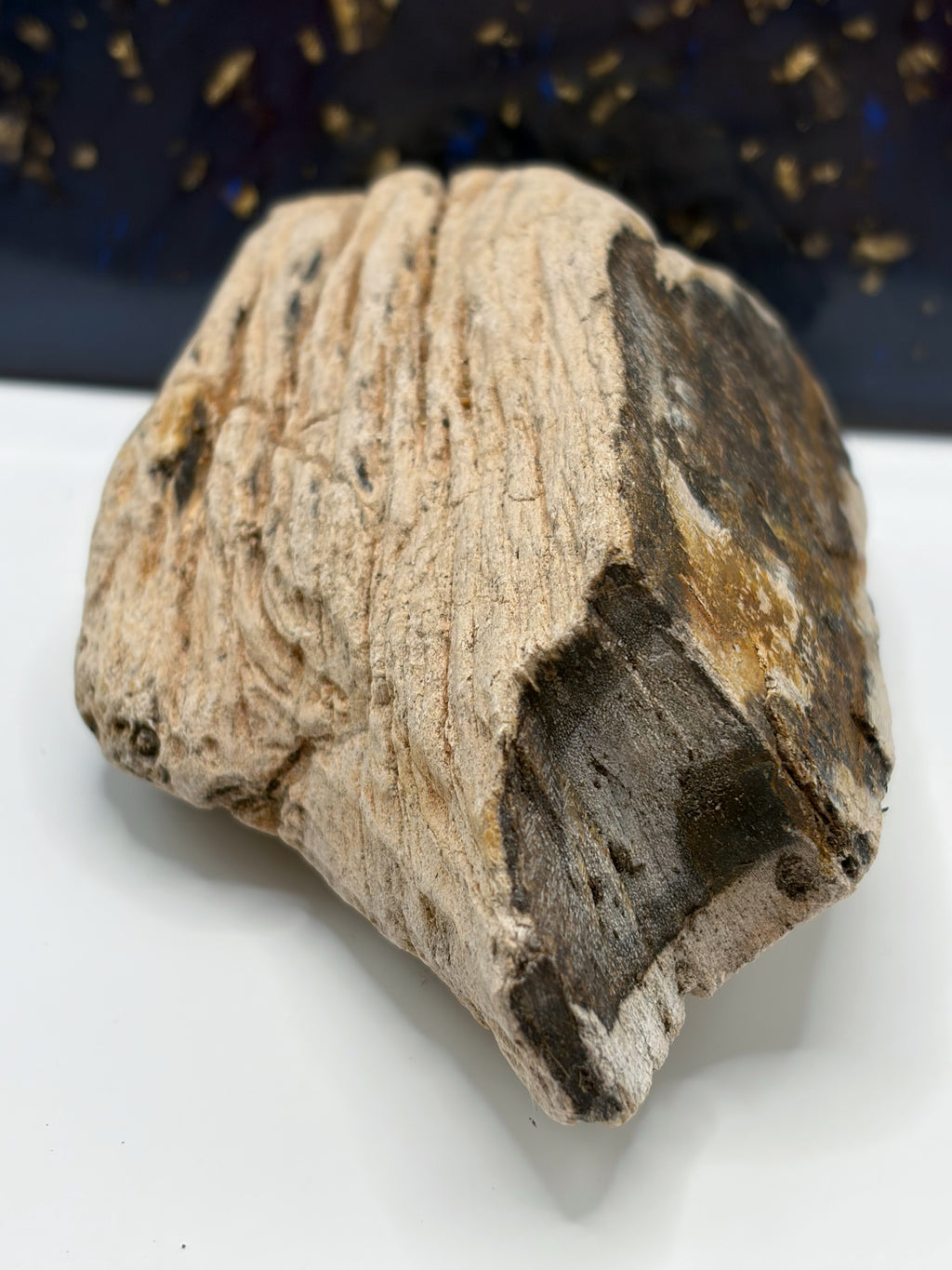 Crystalized Petrified Wood Specimen