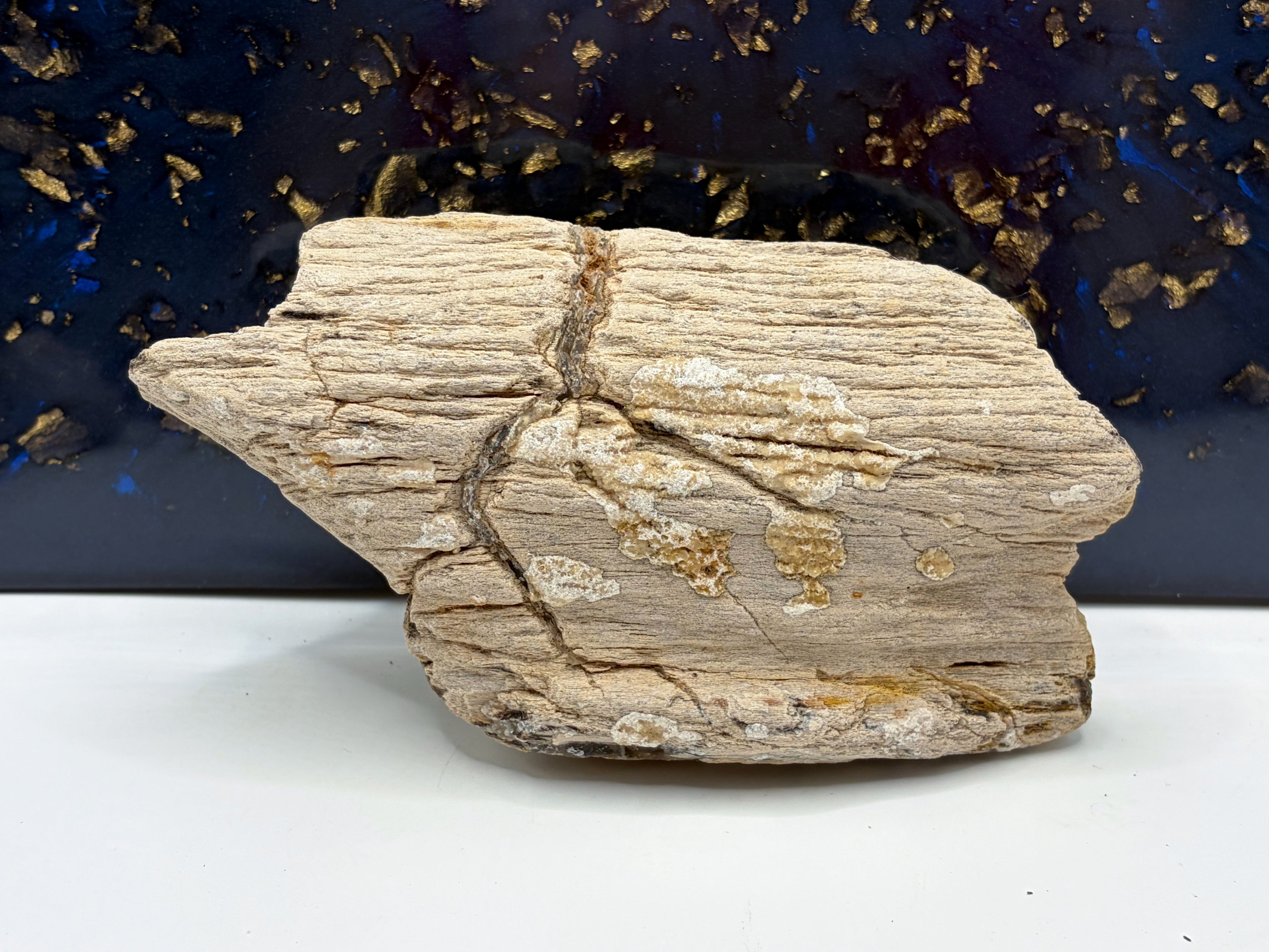 Crystalized Petrified Wood Specimen