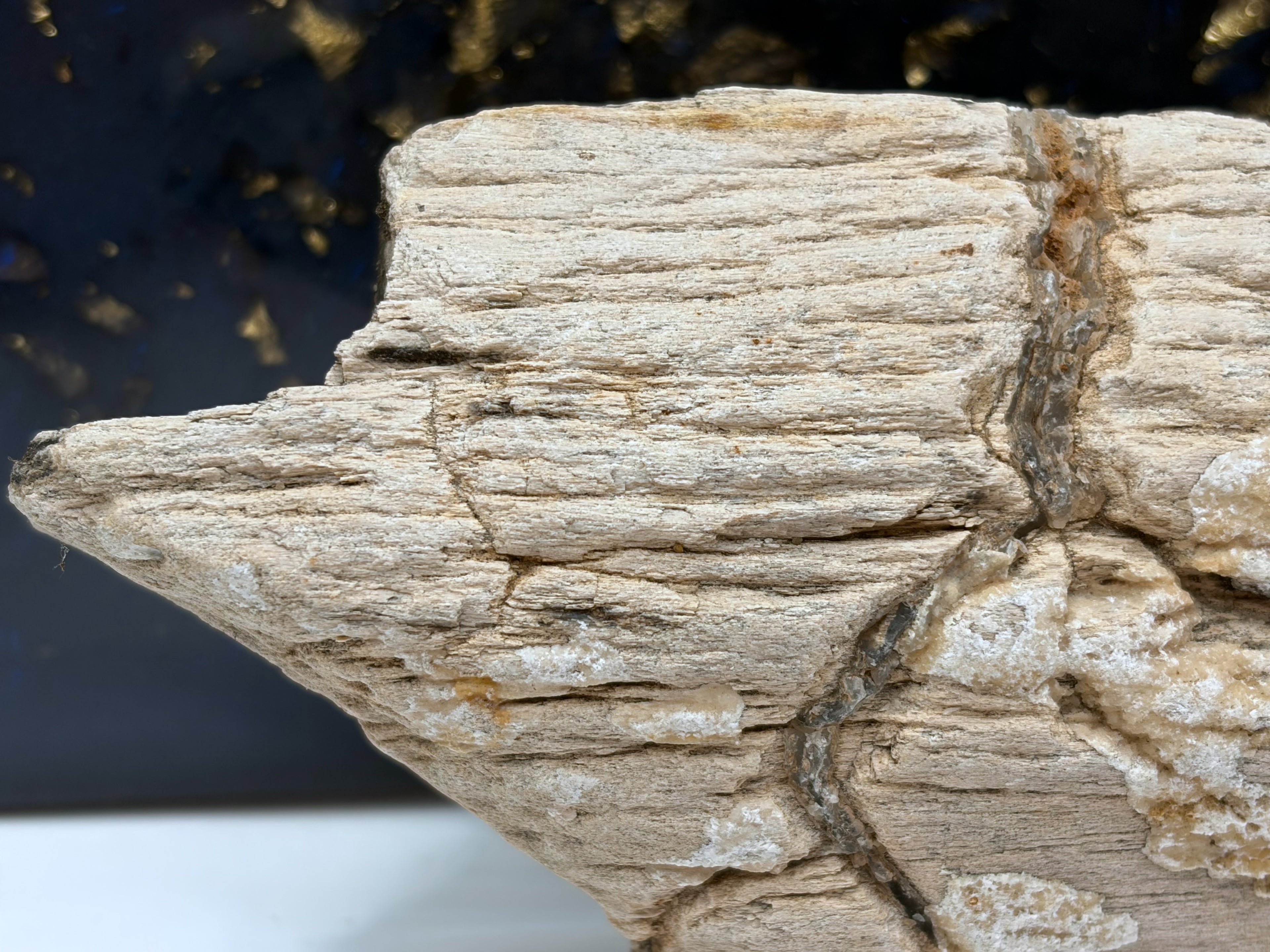 Crystalized Petrified Wood Specimen