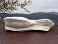 Petrified Wood Specimen
