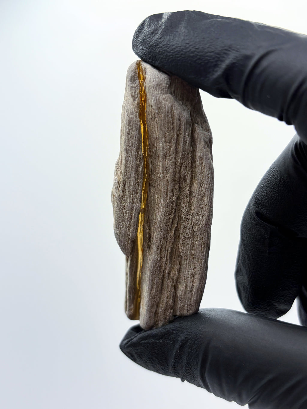 *NEW* Small Petrified Wood Specimen with Quartz Line