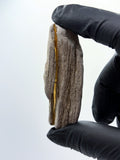 *NEW* Small Petrified Wood Specimen with Quartz Line