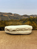 *NEW* Small Druzy Petrified Wood Specimen (SOLD)