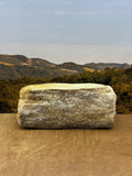 *NEW* Small Druzy Petrified Wood Specimen