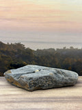 *NEW* Diagonal Petrified Palm Wood Specimen