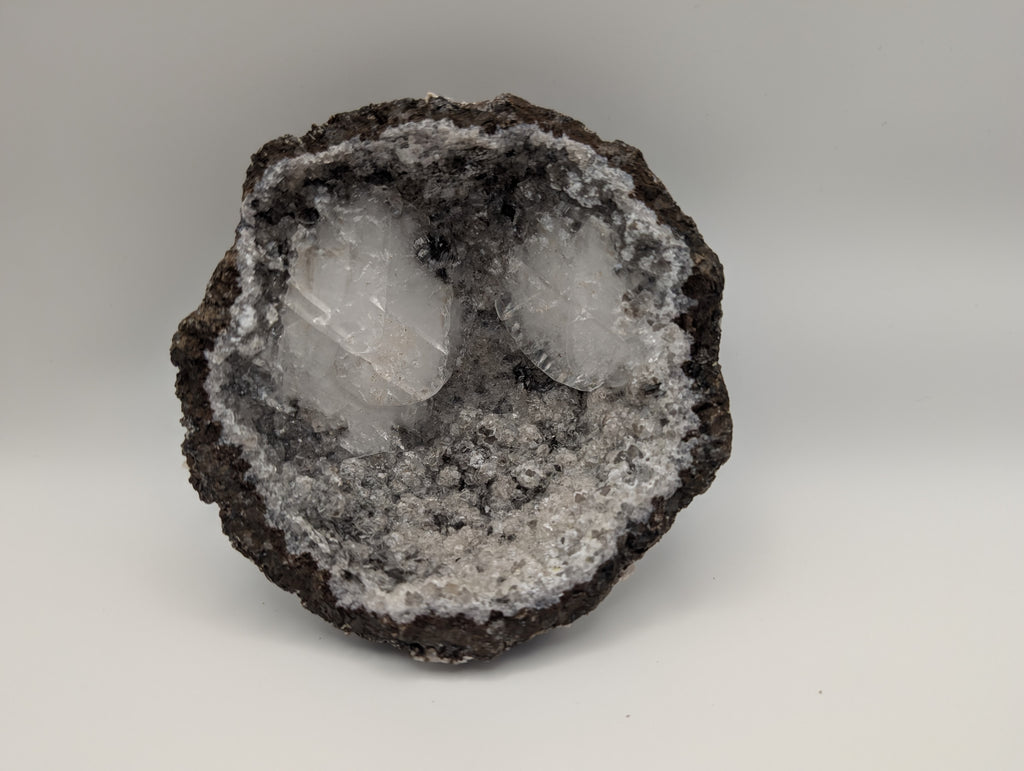 Basic Monthy Membership