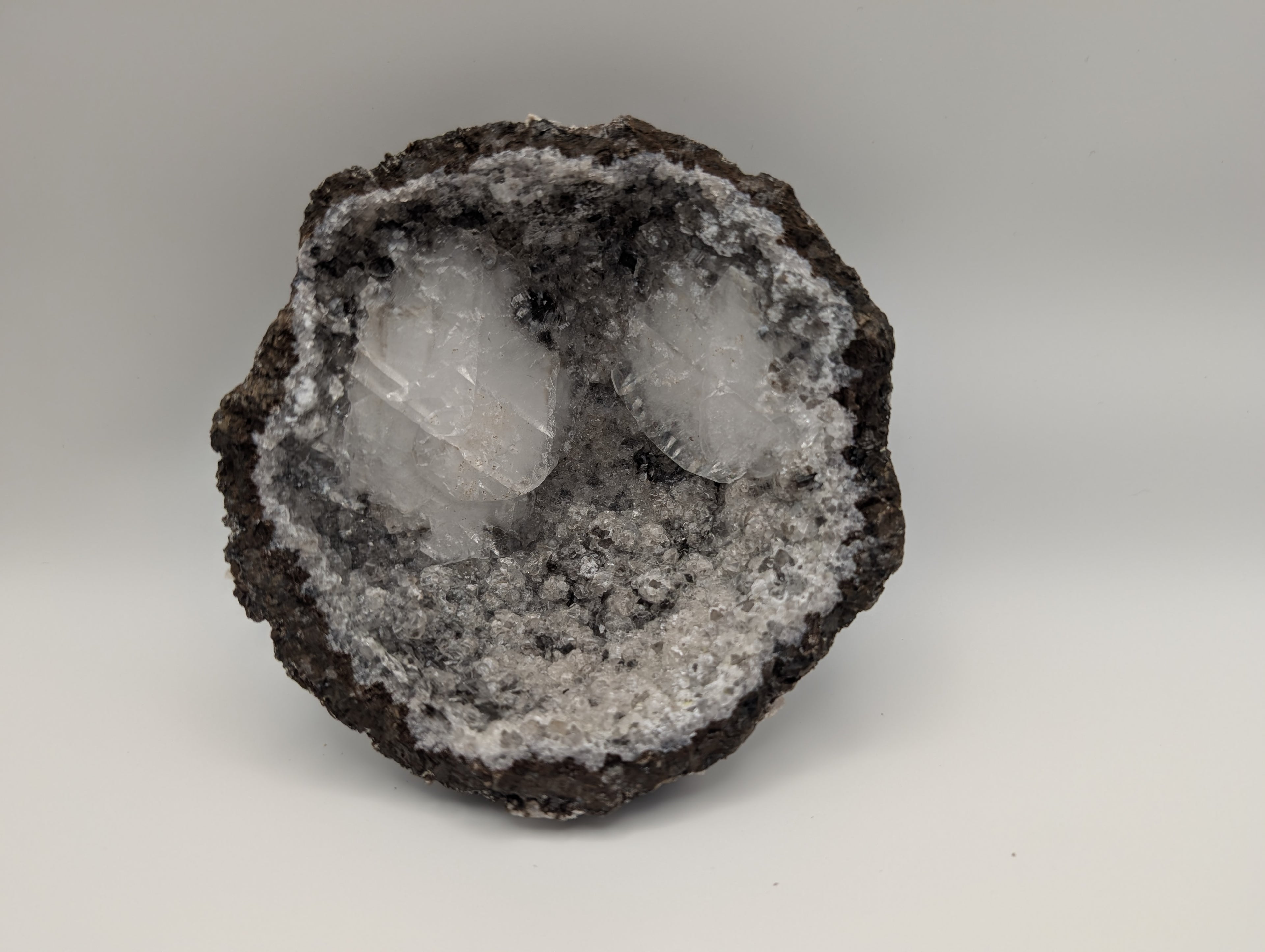 Basic Monthy Membership