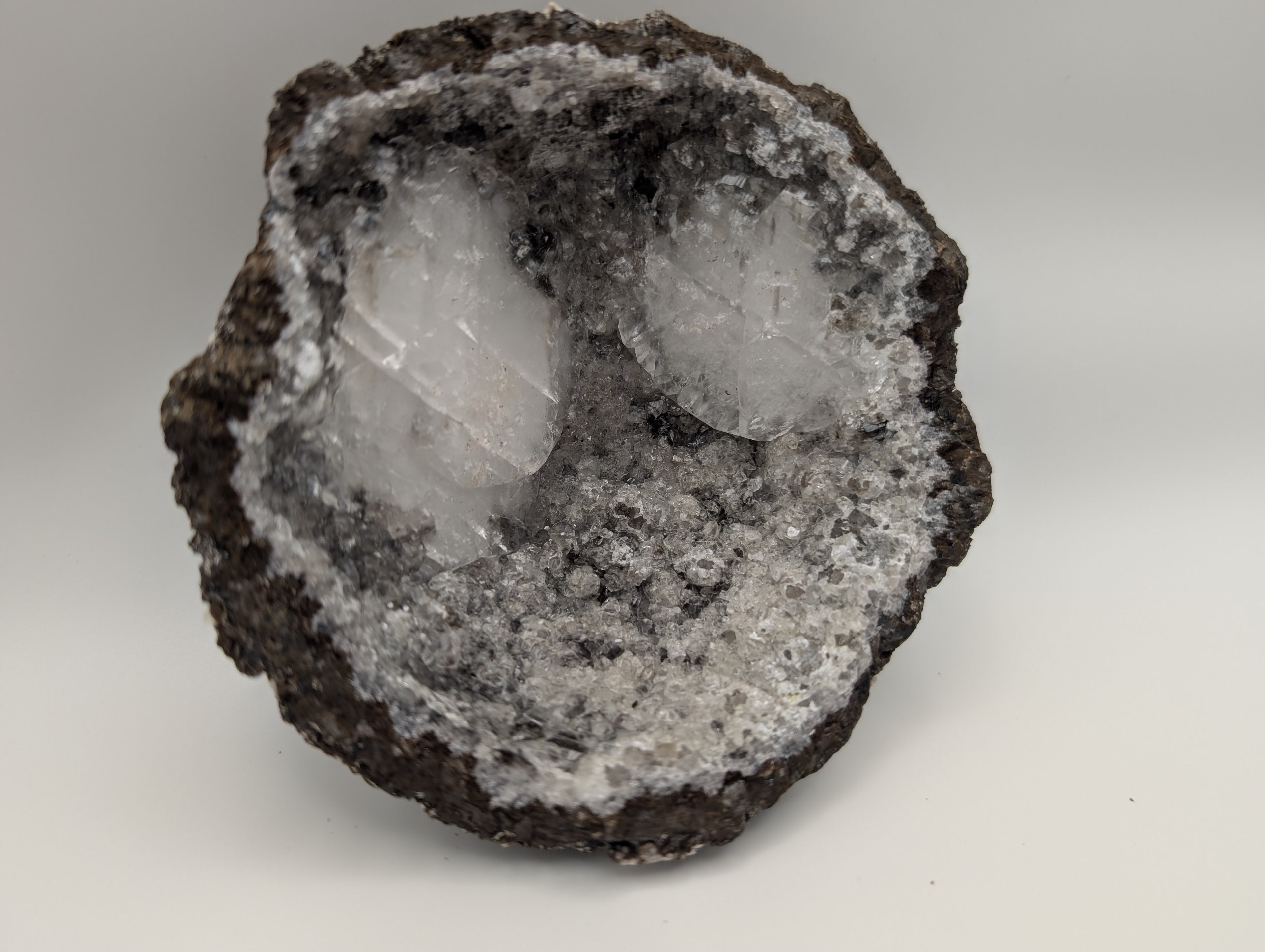 Las Choyas Coconut Whole Geodes 95% Hollow