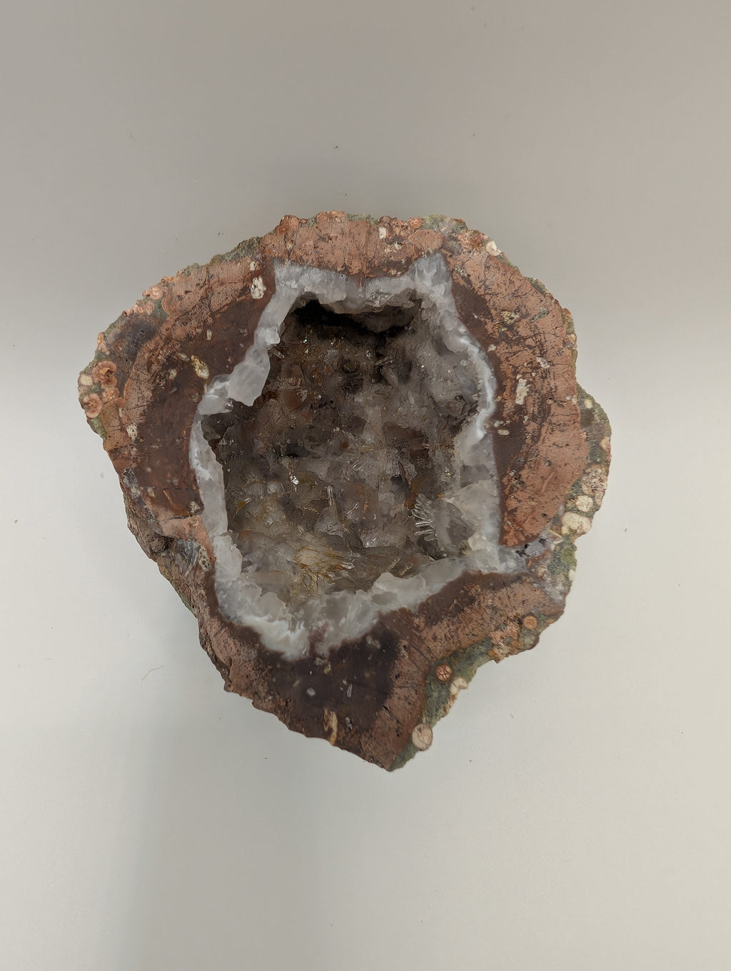 Basic Monthy Membership