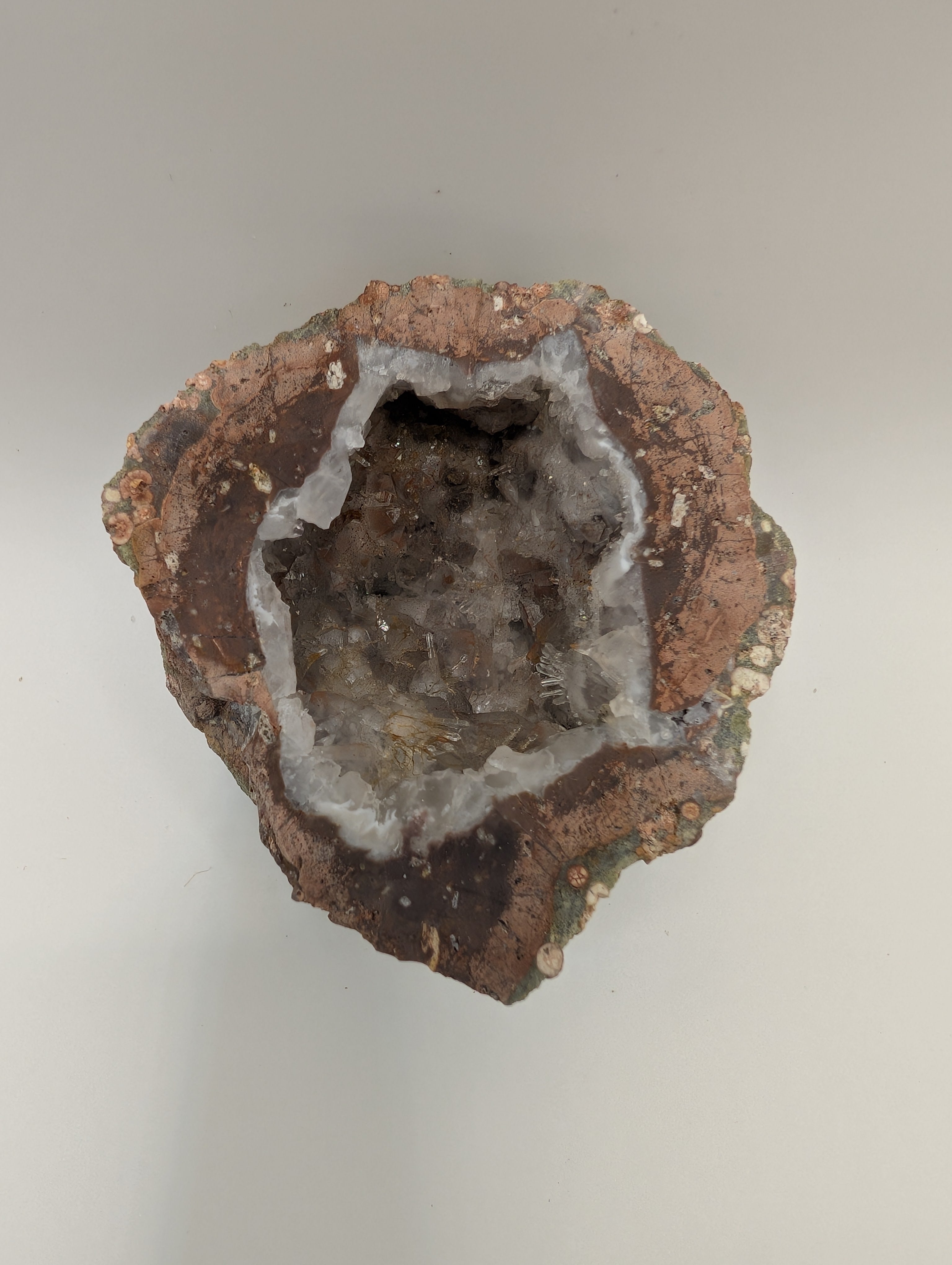 Basic Monthy Membership