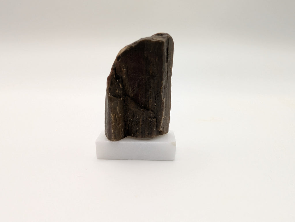 Opalized Wood