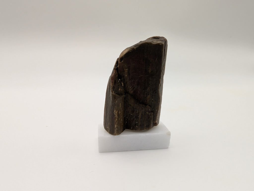 Opalized Wood