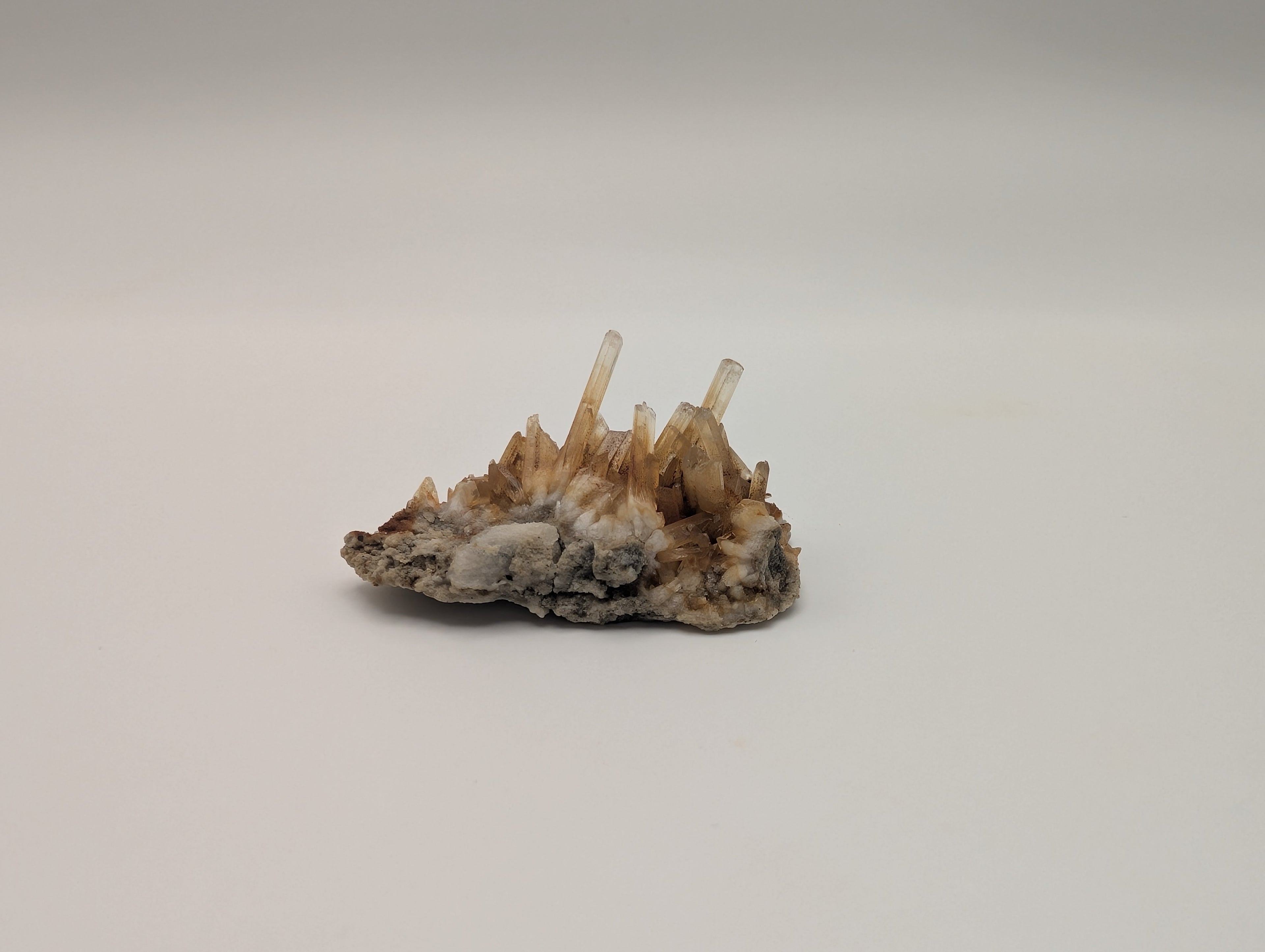 1" Selenite Crystal formation - Delicate