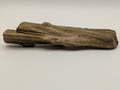 Petrified Wood Specimen