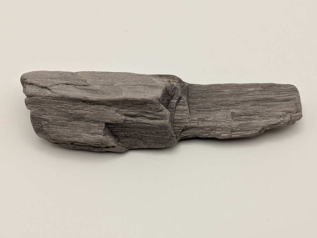 Petrified Wood Specimen