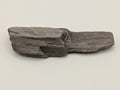 Petrified Wood Specimen