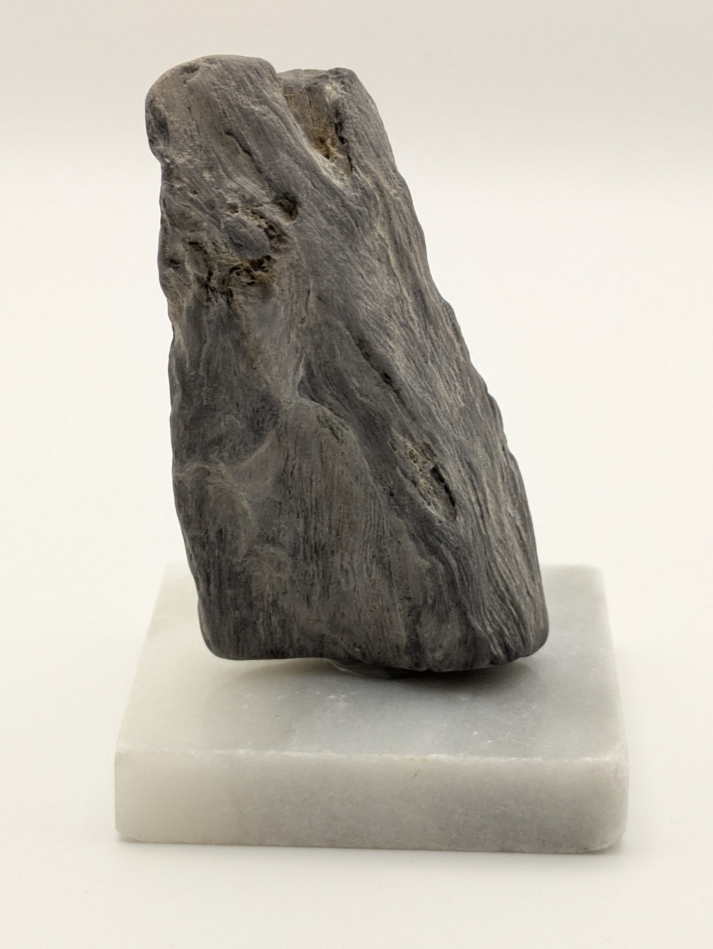 Petrified Wood Specimen (with stand)