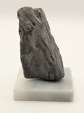 Petrified Wood Specimen (with stand)