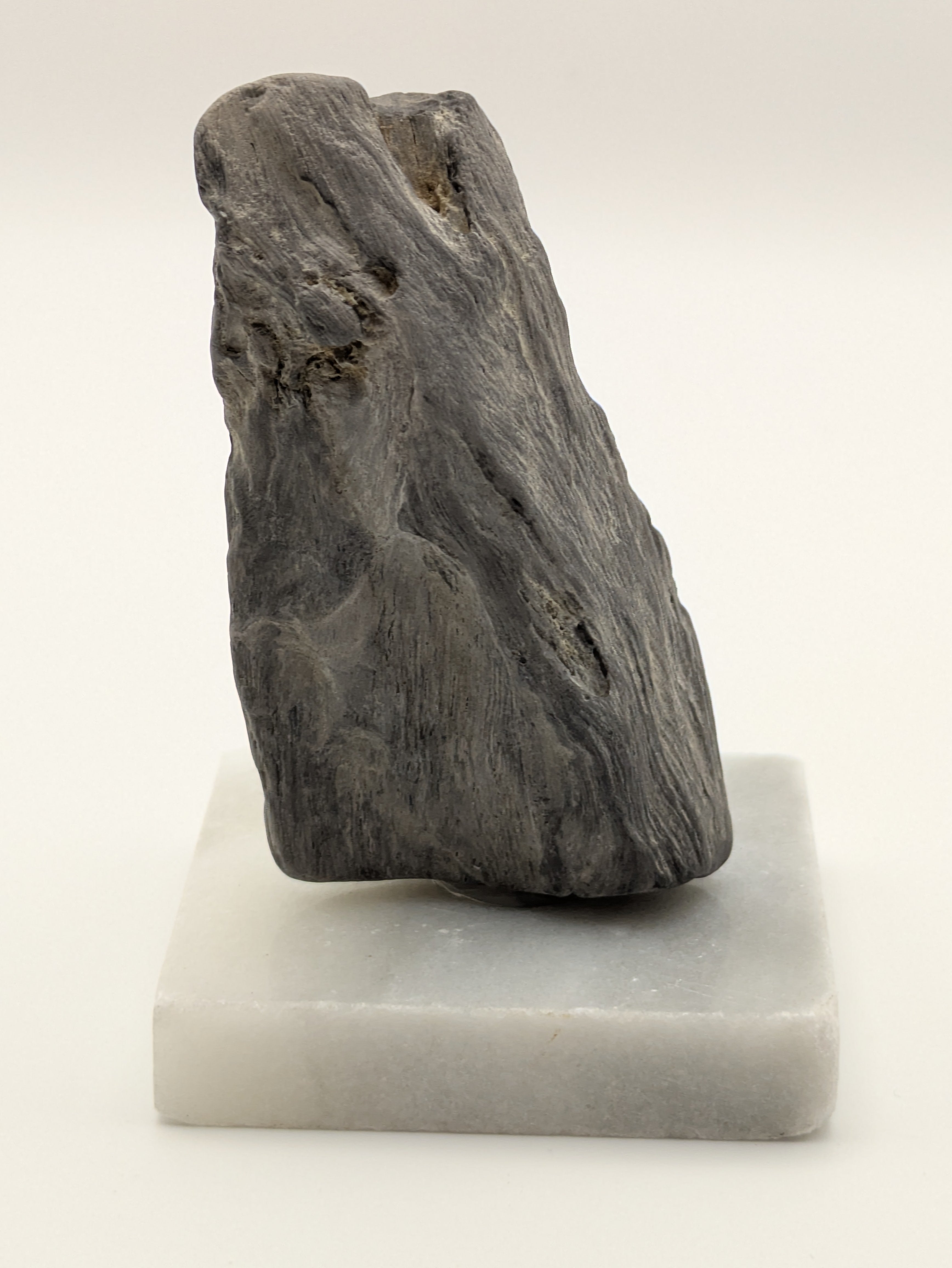 Petrified Wood Specimen (with stand)
