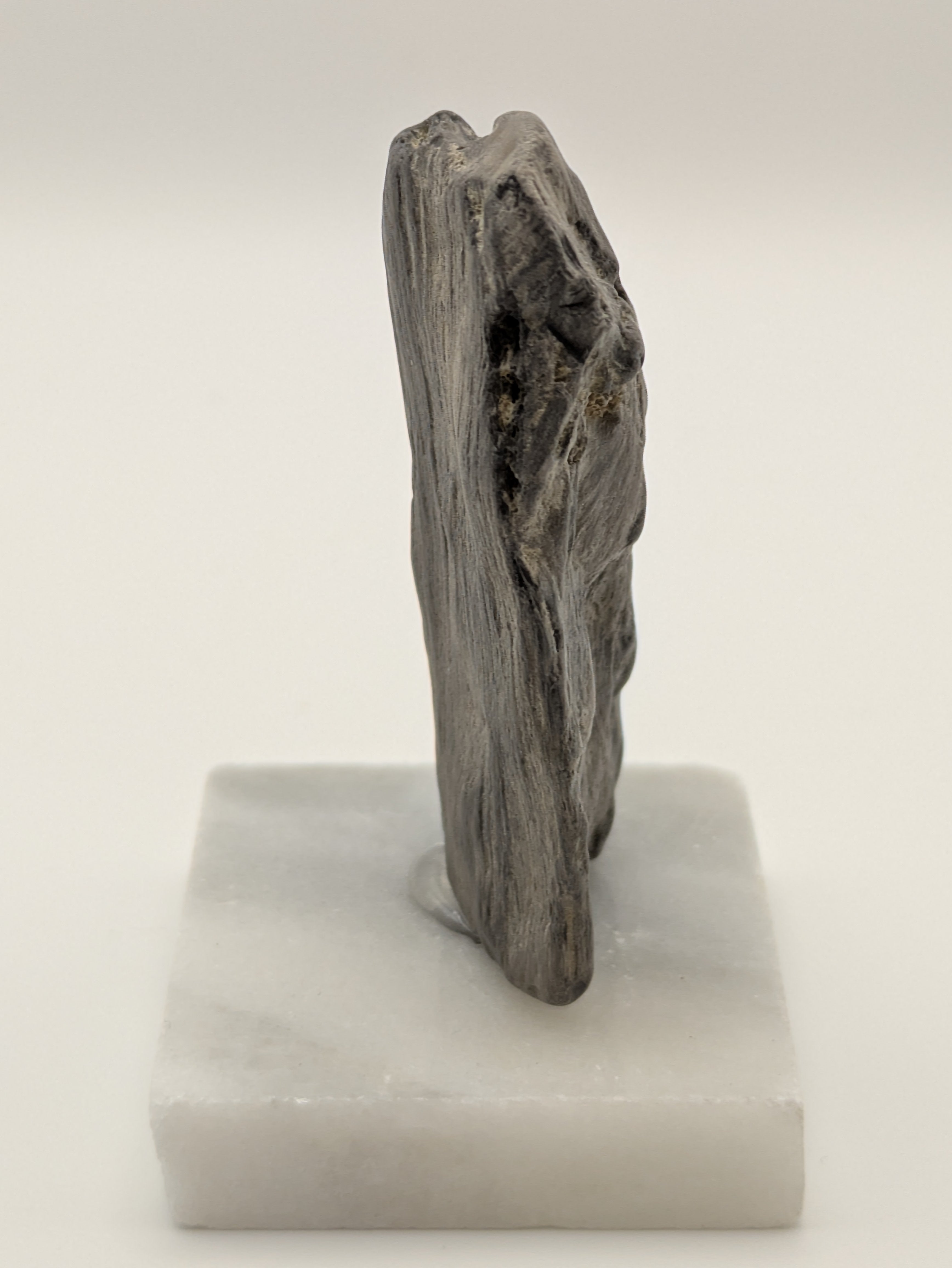 Petrified Wood Specimen (with stand)