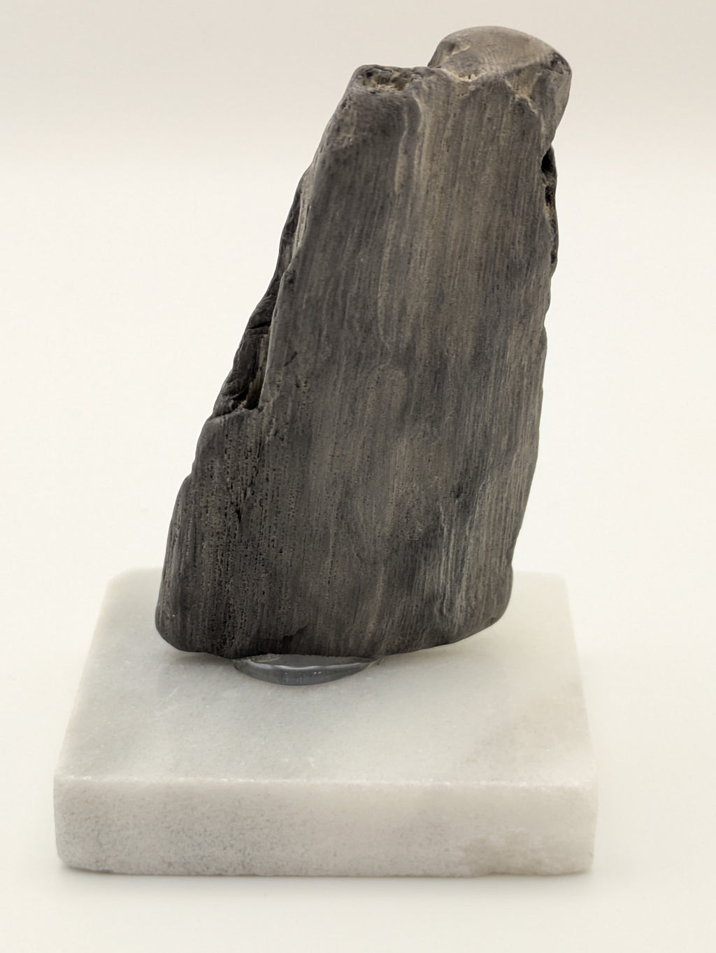 Petrified Wood Specimen (with stand)