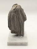 Petrified Wood Specimen (with stand)