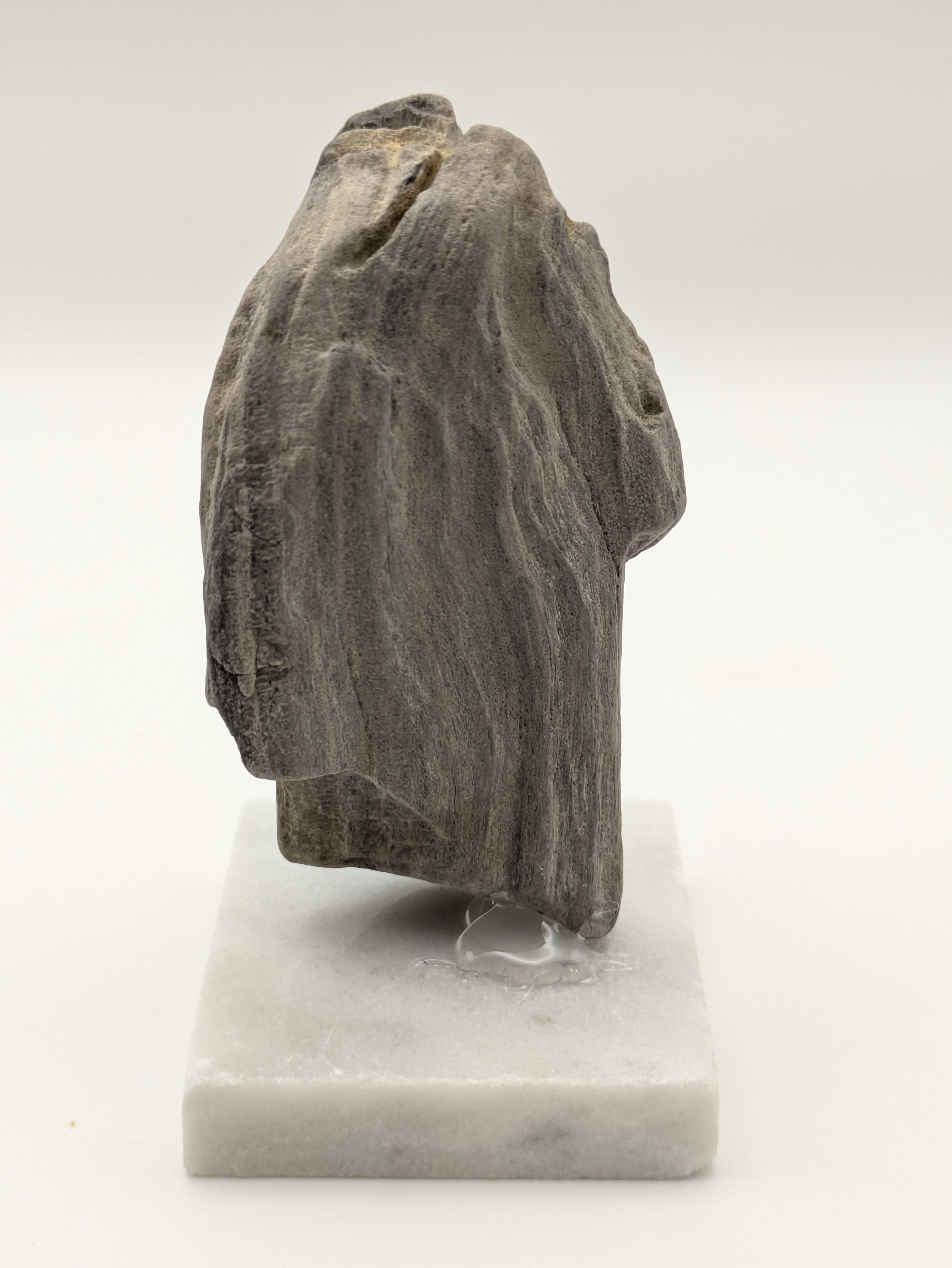 Petrified Wood Specimen (with stand)