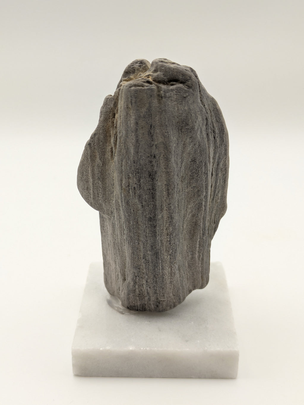 Petrified Wood Specimen (with stand)