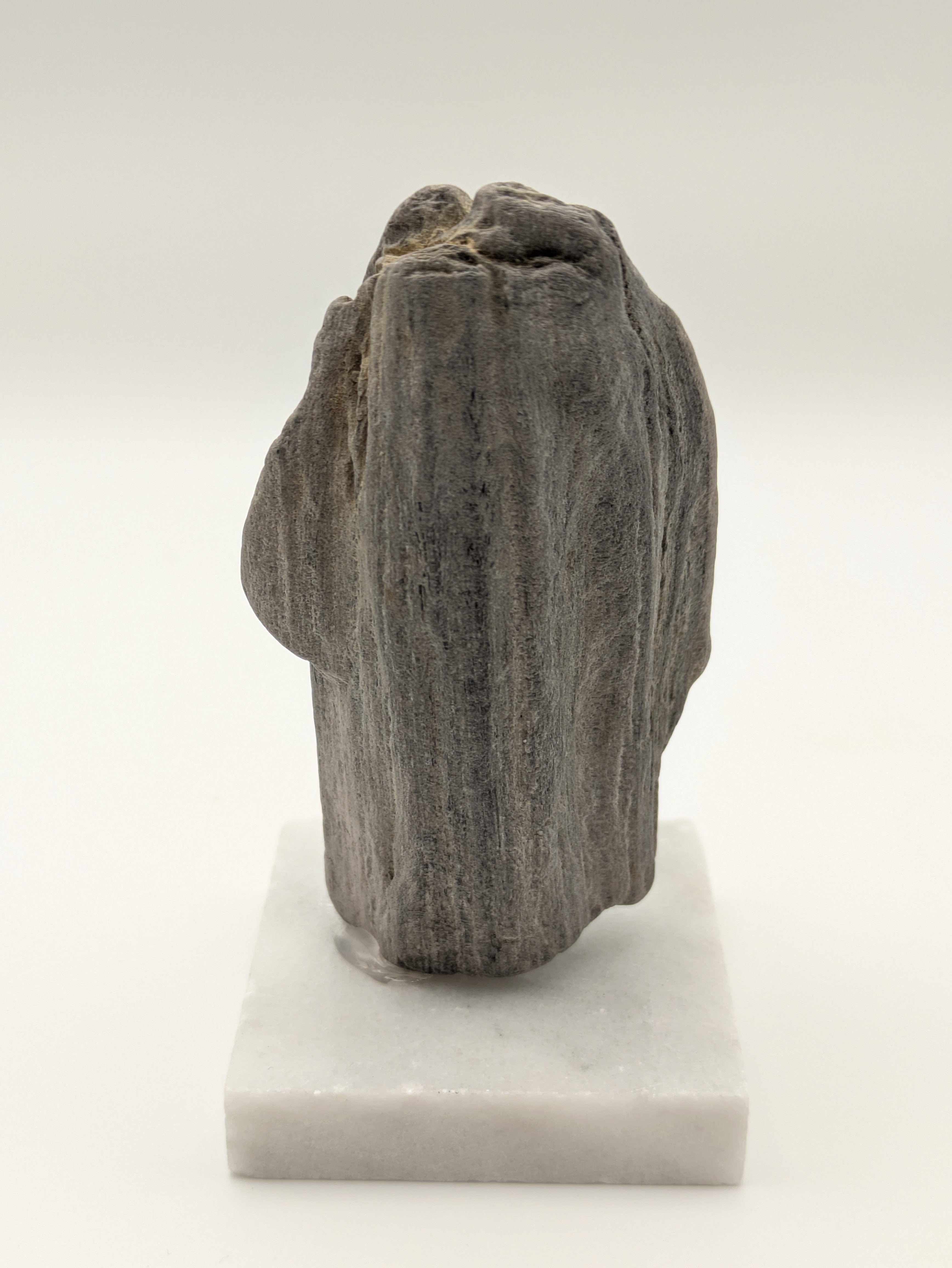 Petrified Wood Specimen (with stand)