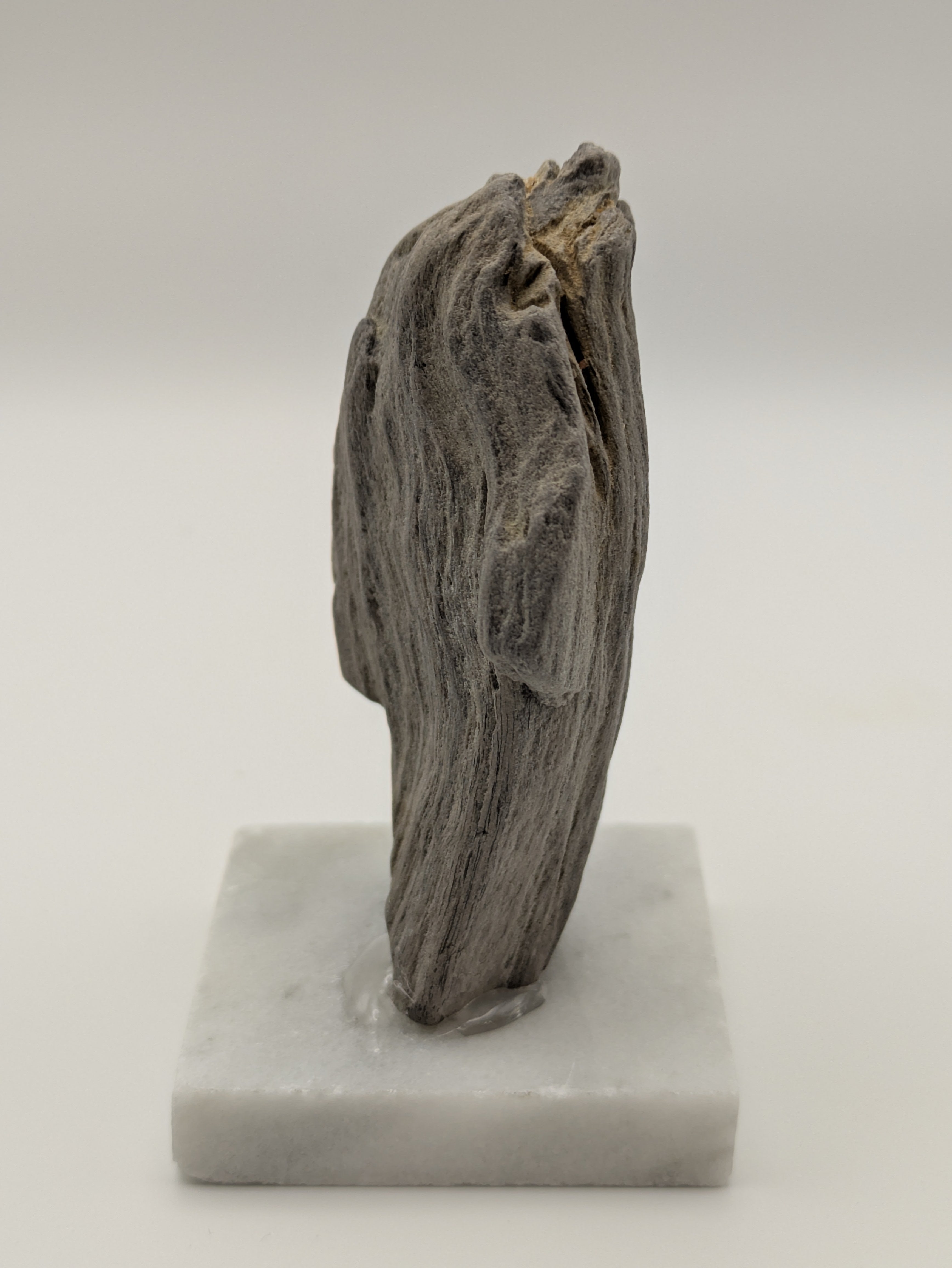 Petrified Wood Specimen (with stand)