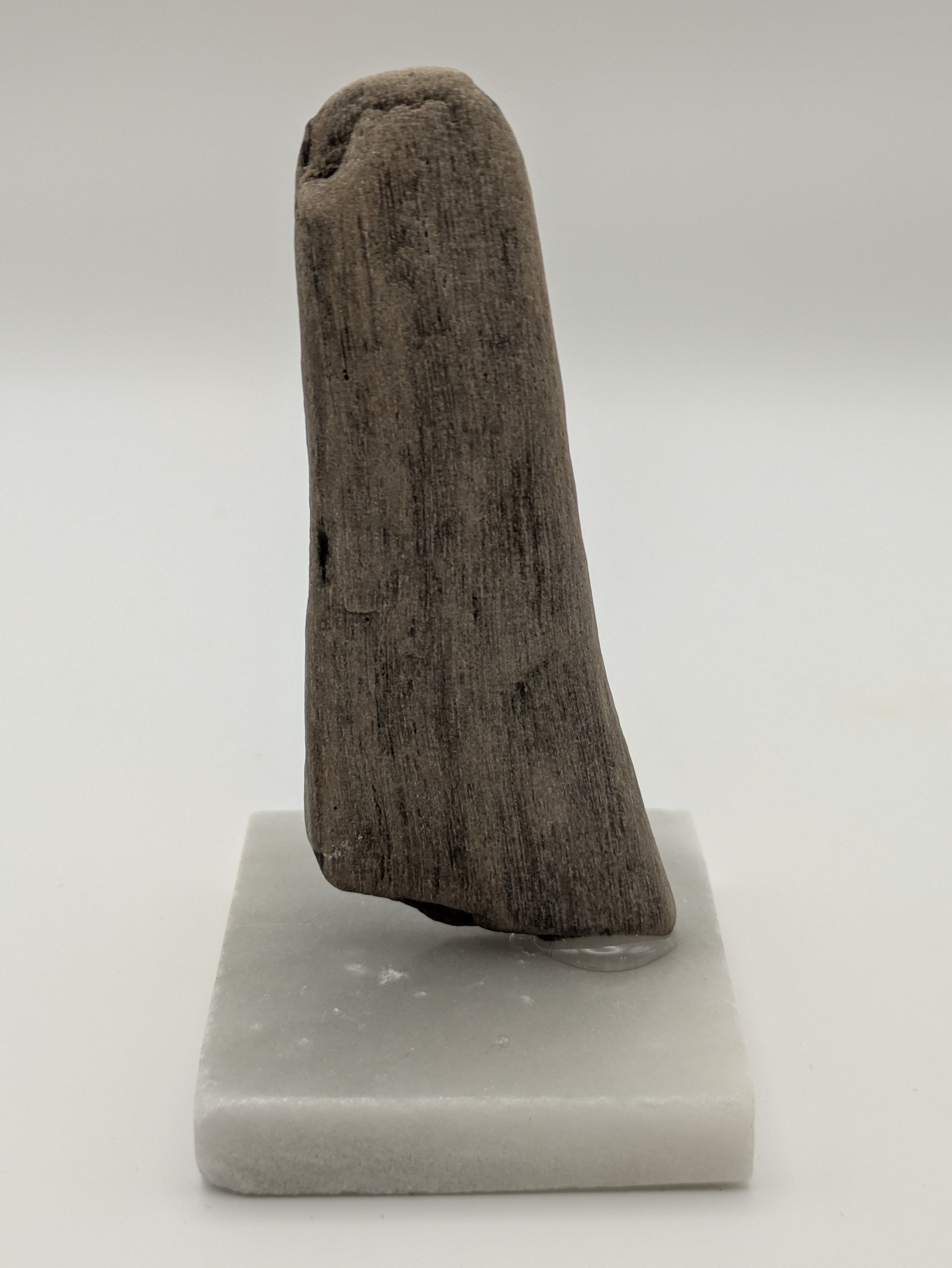 Petrified Wood Specimen (with stand)