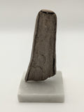 Petrified Wood Specimen (with stand)