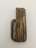 Petrified Wood Specimen
