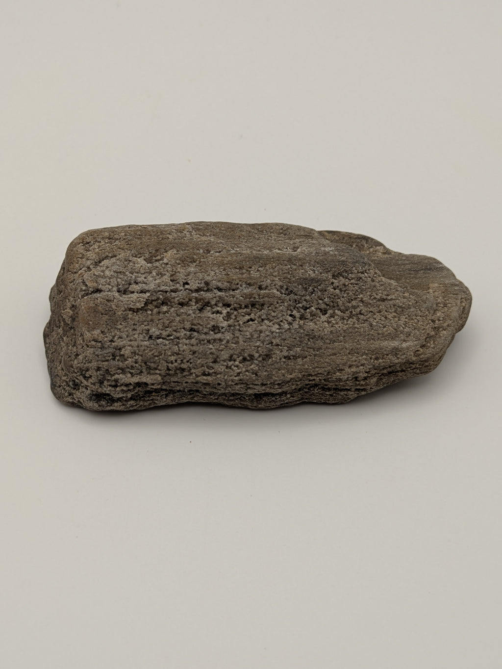 Petrified Wood Specimen with Druzy Crystals