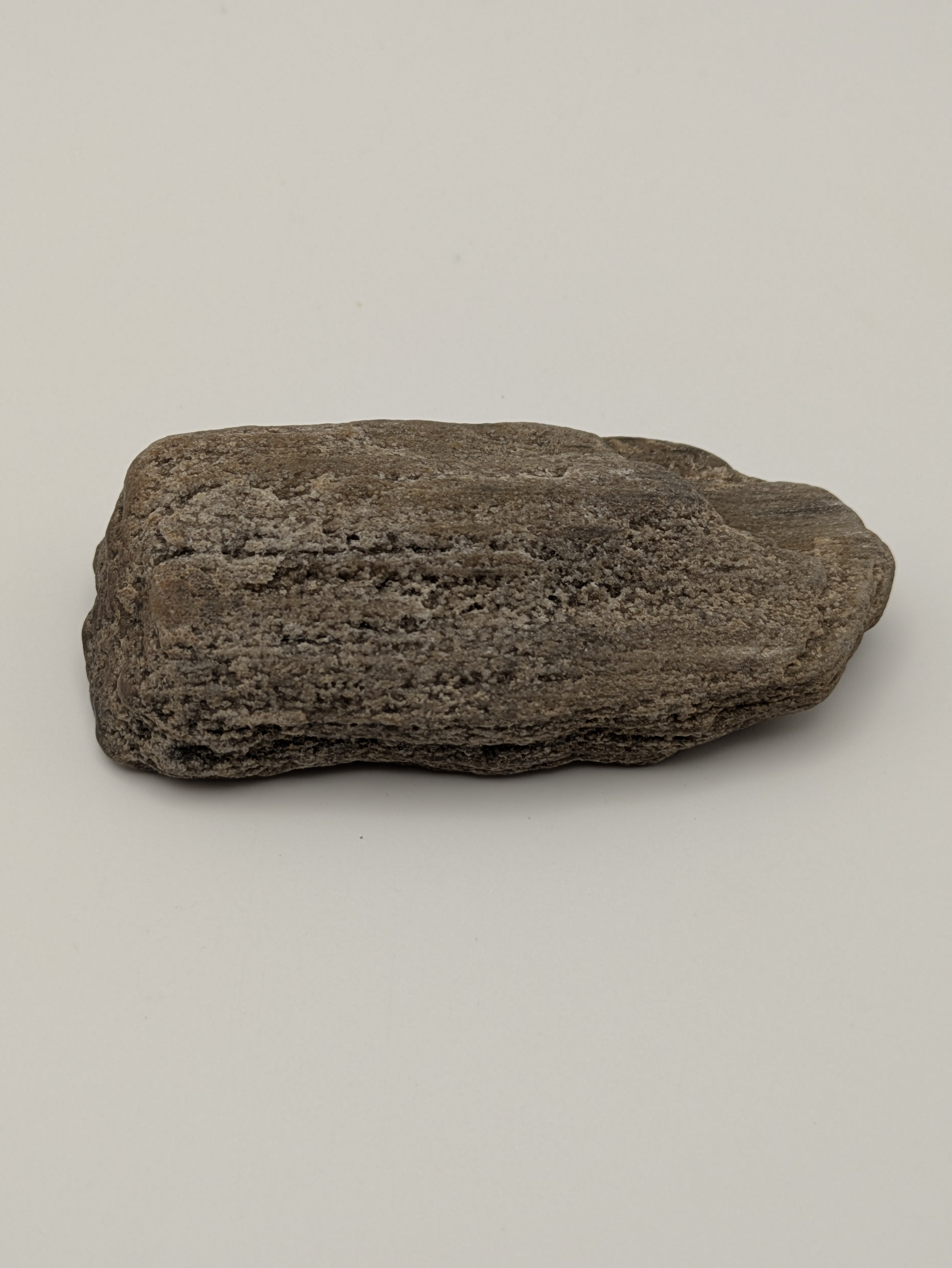 Petrified Wood Specimen with Druzy Crystals