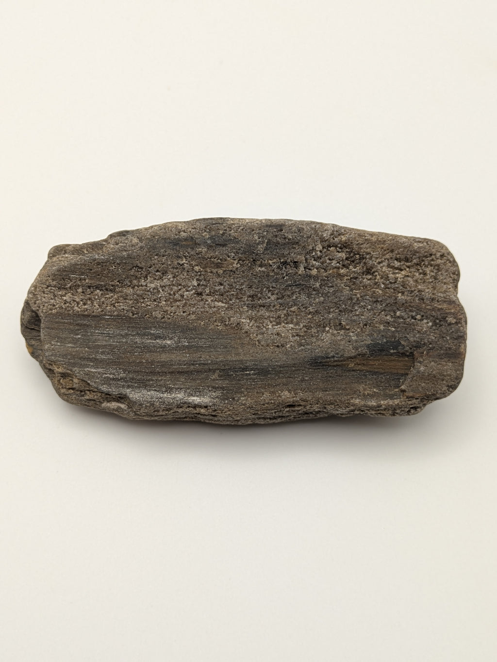 Petrified Wood Specimen with Druzy Crystals