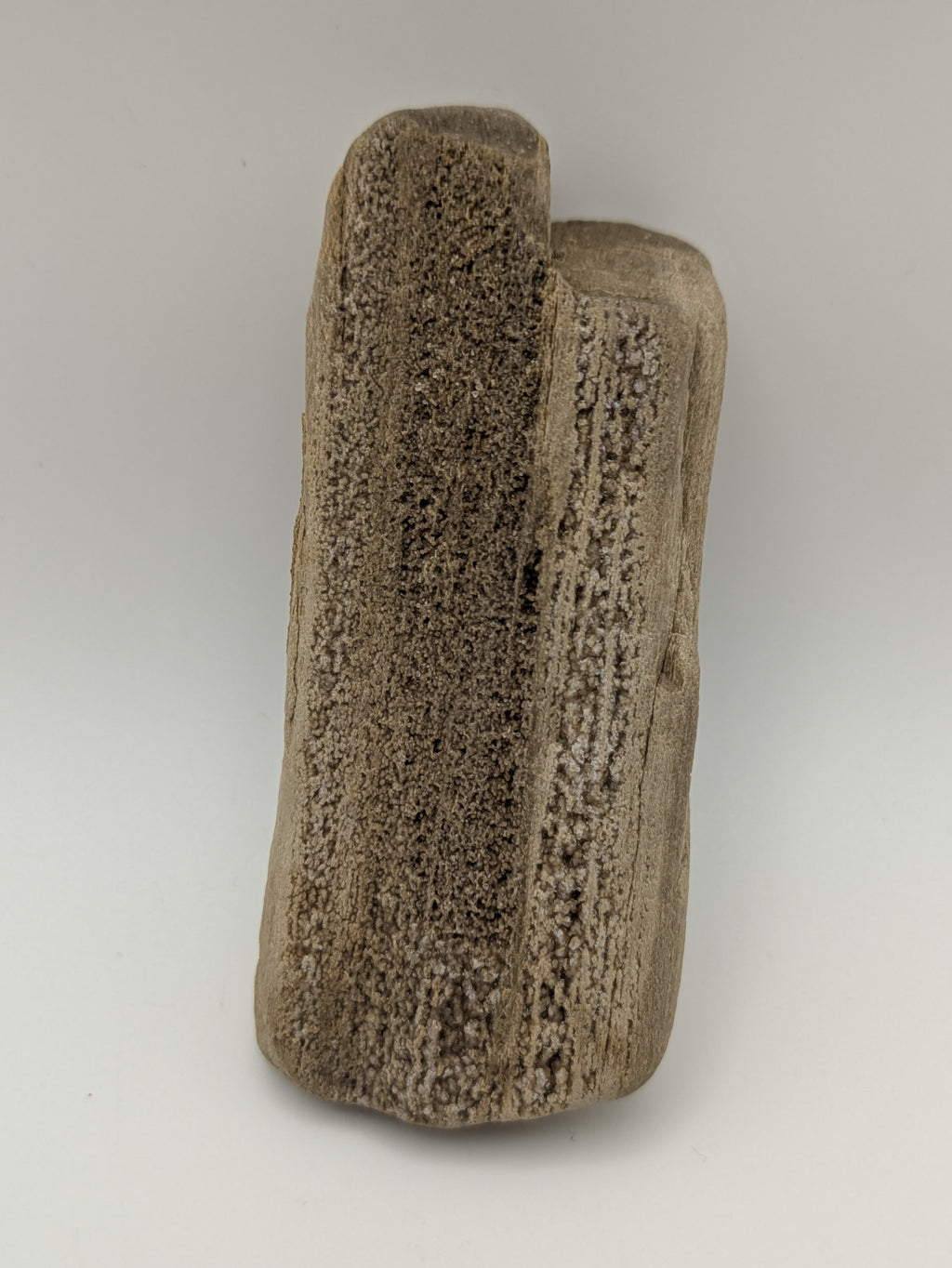 Petrified Wood Specimen with Druzy Crystals