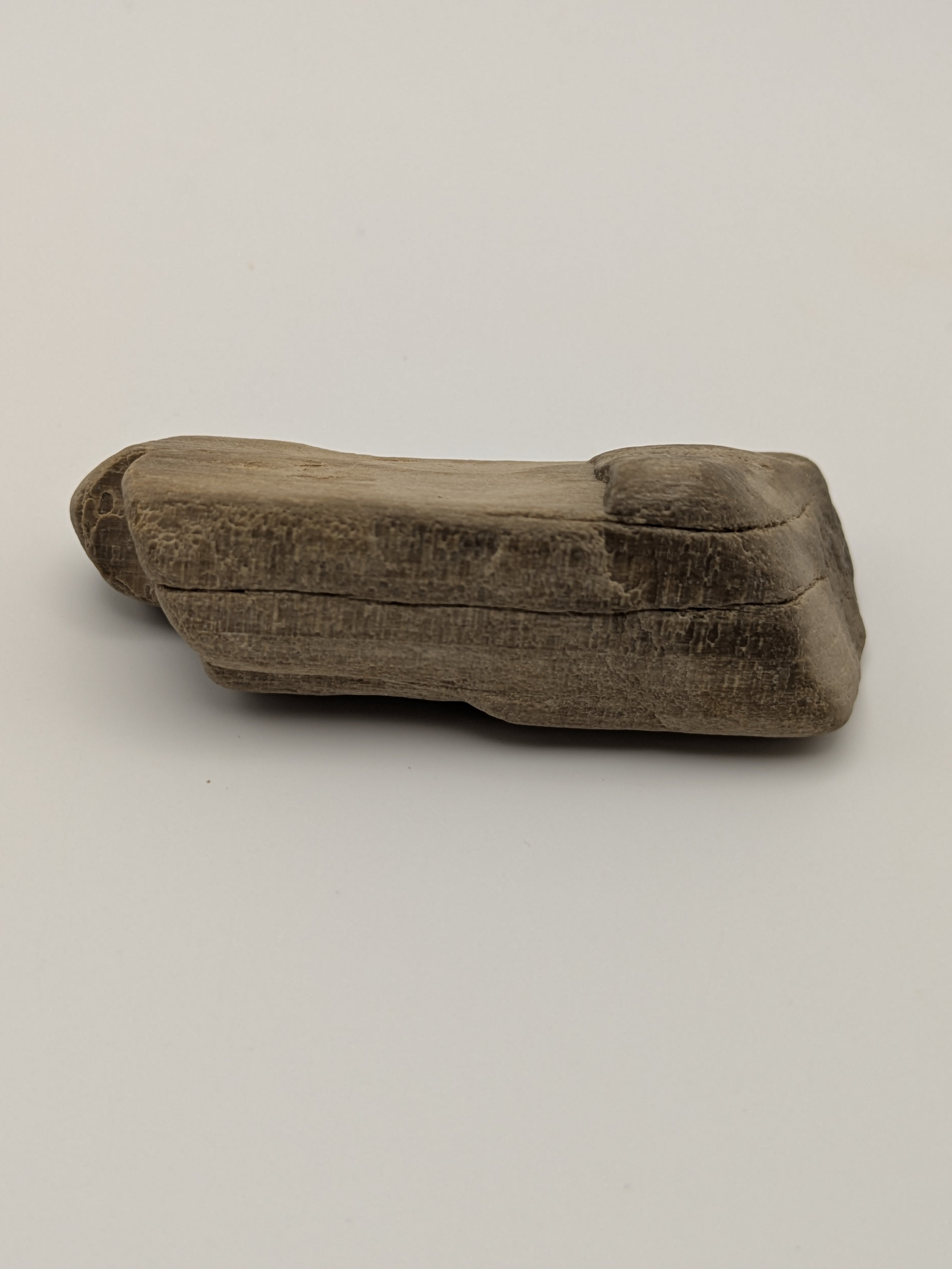 Petrified Wood Specimen with Druzy Crystals