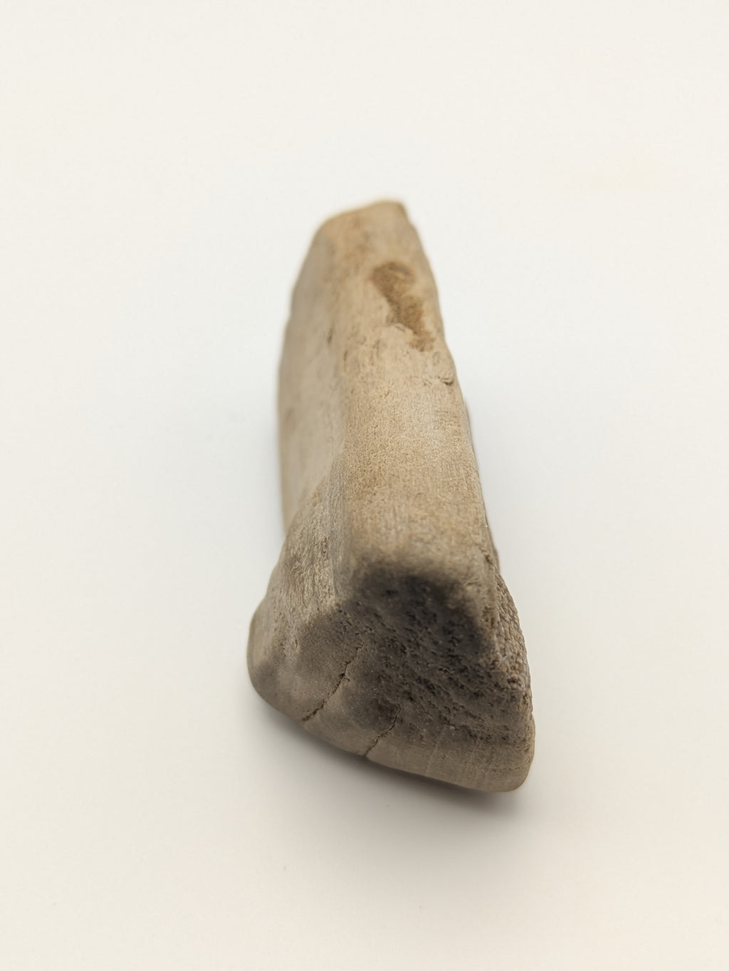 Petrified Wood Specimen with Druzy Crystals