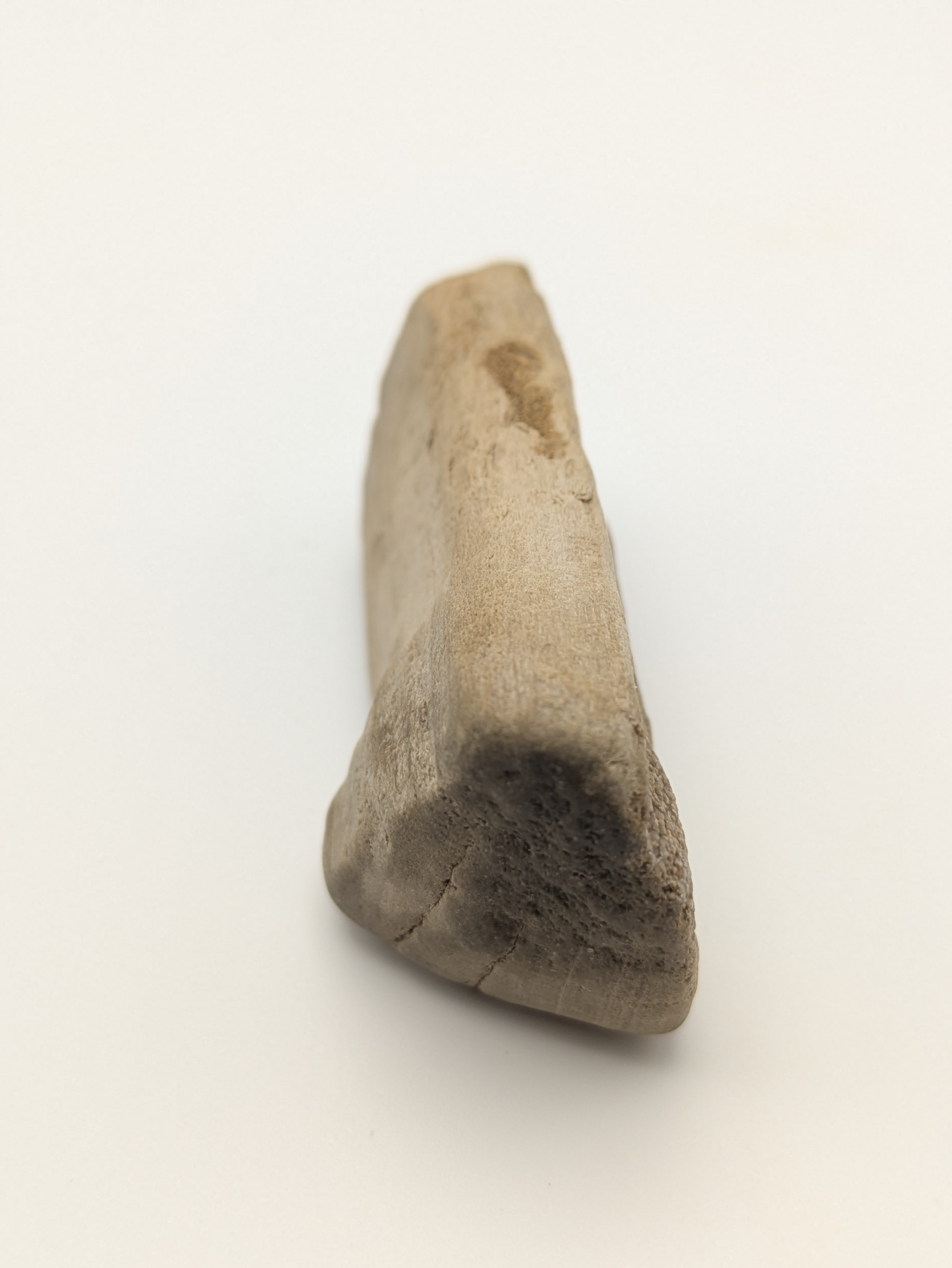 Petrified Wood Specimen with Druzy Crystals