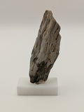 Small Petrified Wood Specimen (with stand)