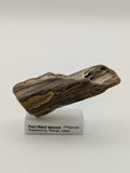 Small Petrified Wood Specimen (with stand)