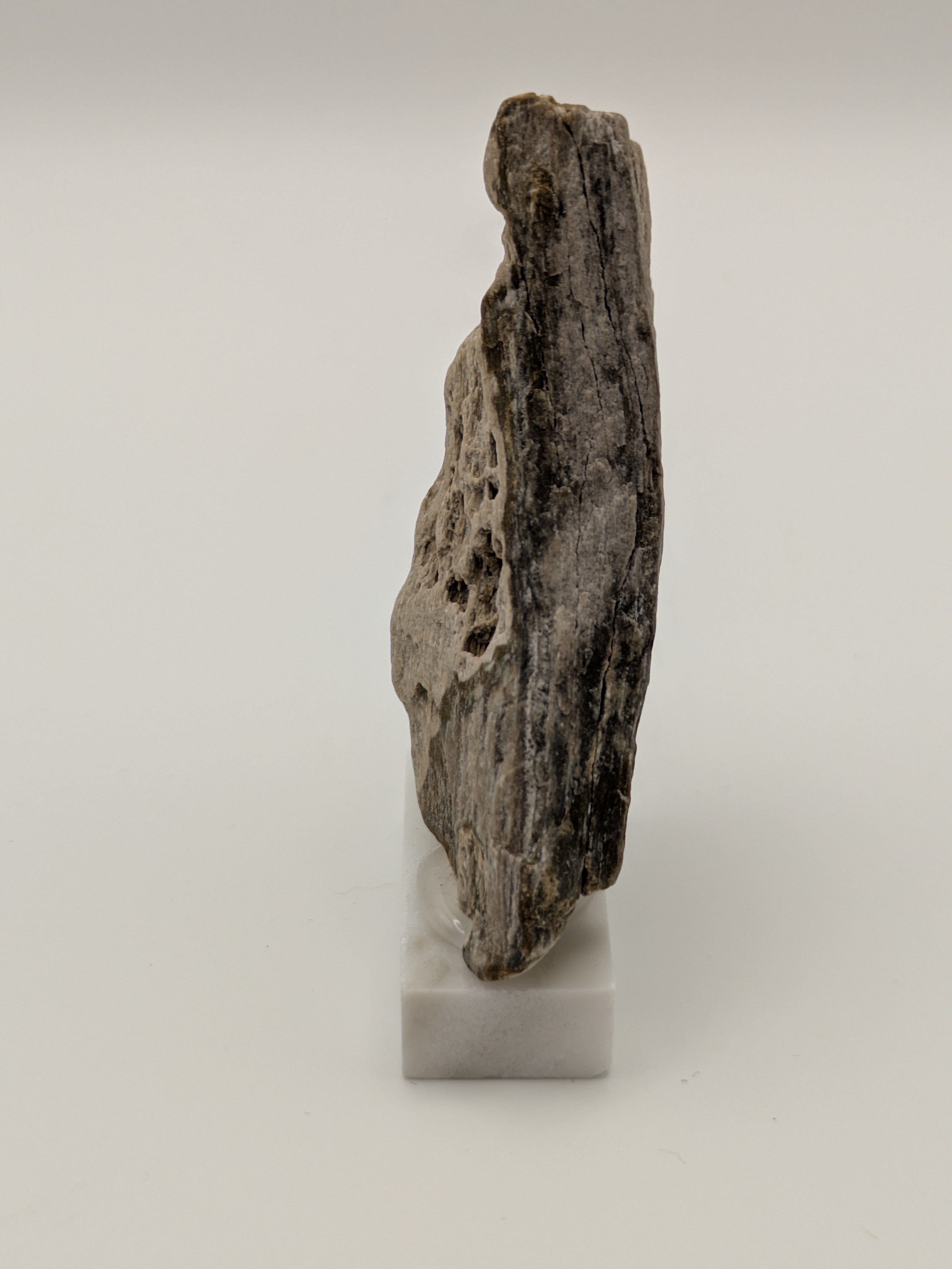 Small Petrified Wood Specimen with Druzy Crystals (with stand)