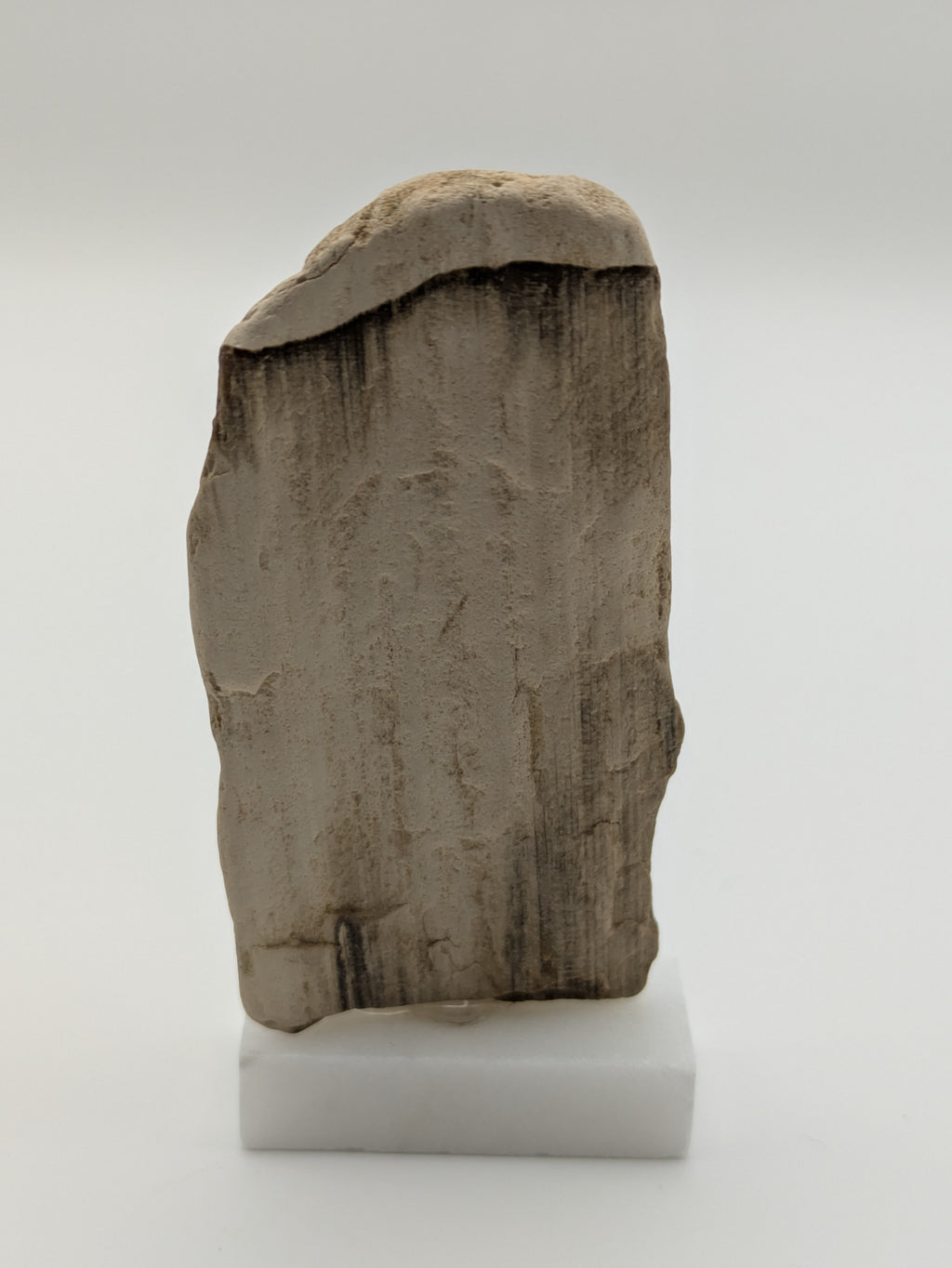 Small Petrified Wood Specimen (with stand)