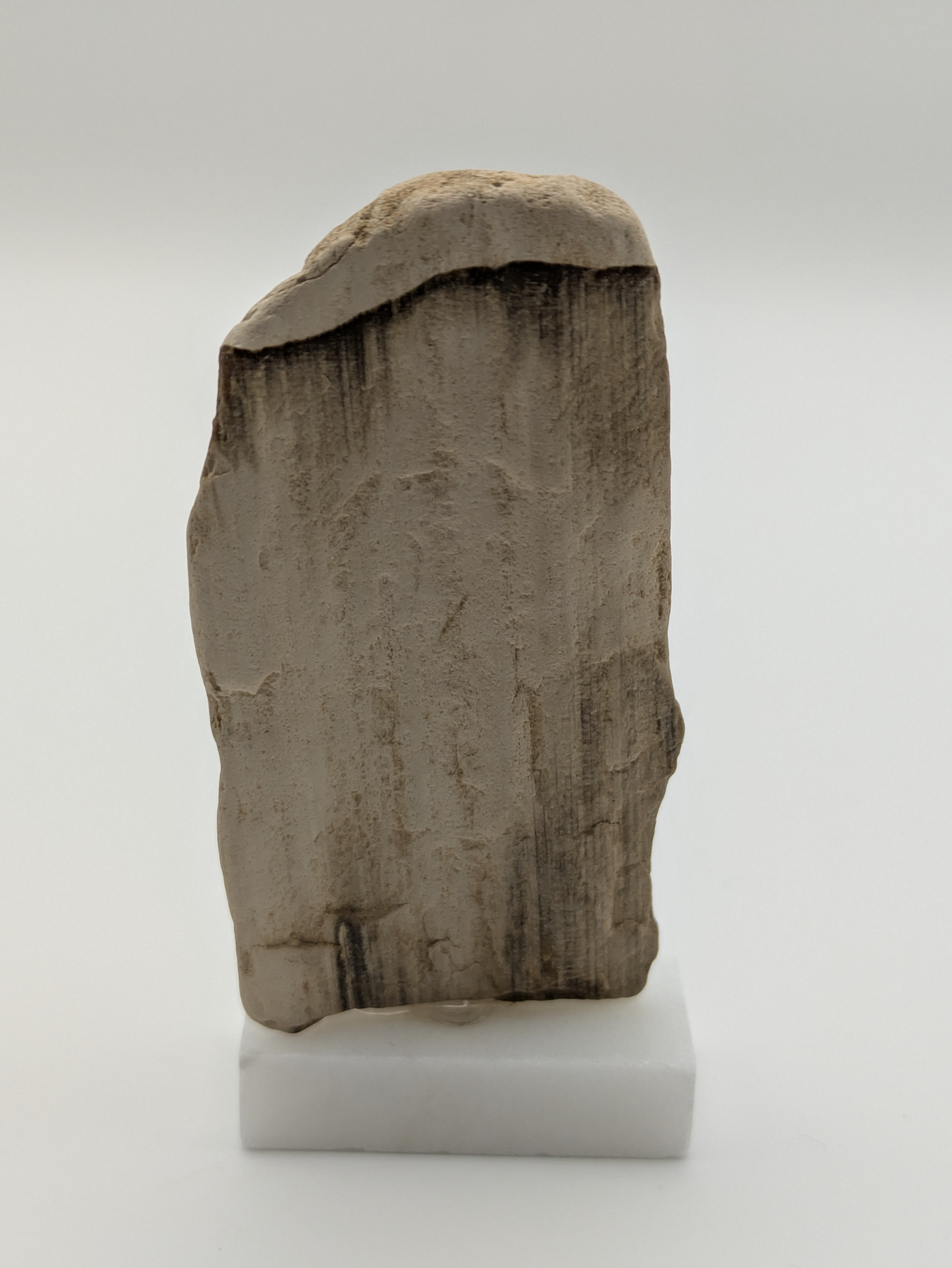 Small Petrified Wood Specimen (with stand)