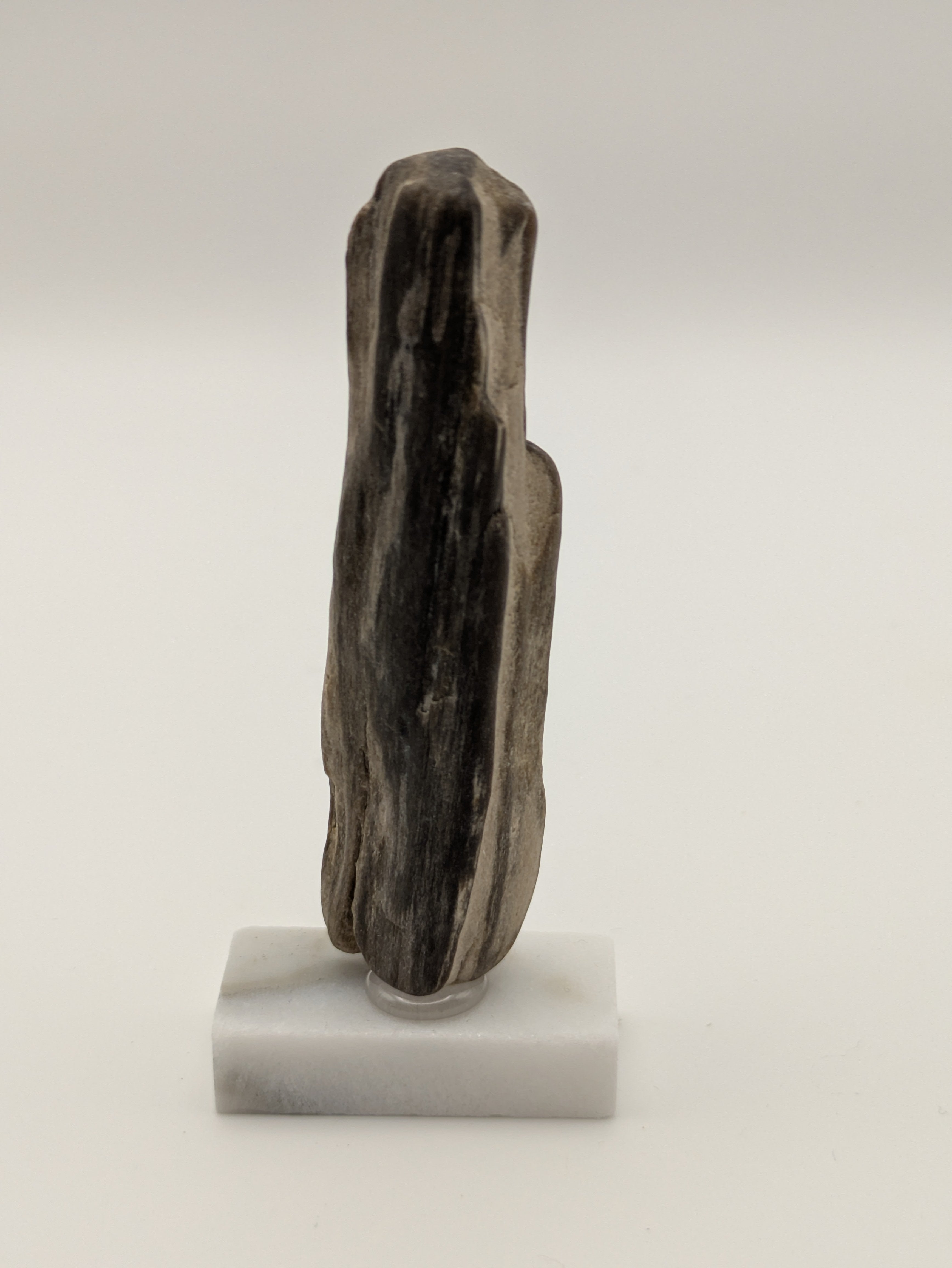 Small Petrified Wood Specimen (with stand)